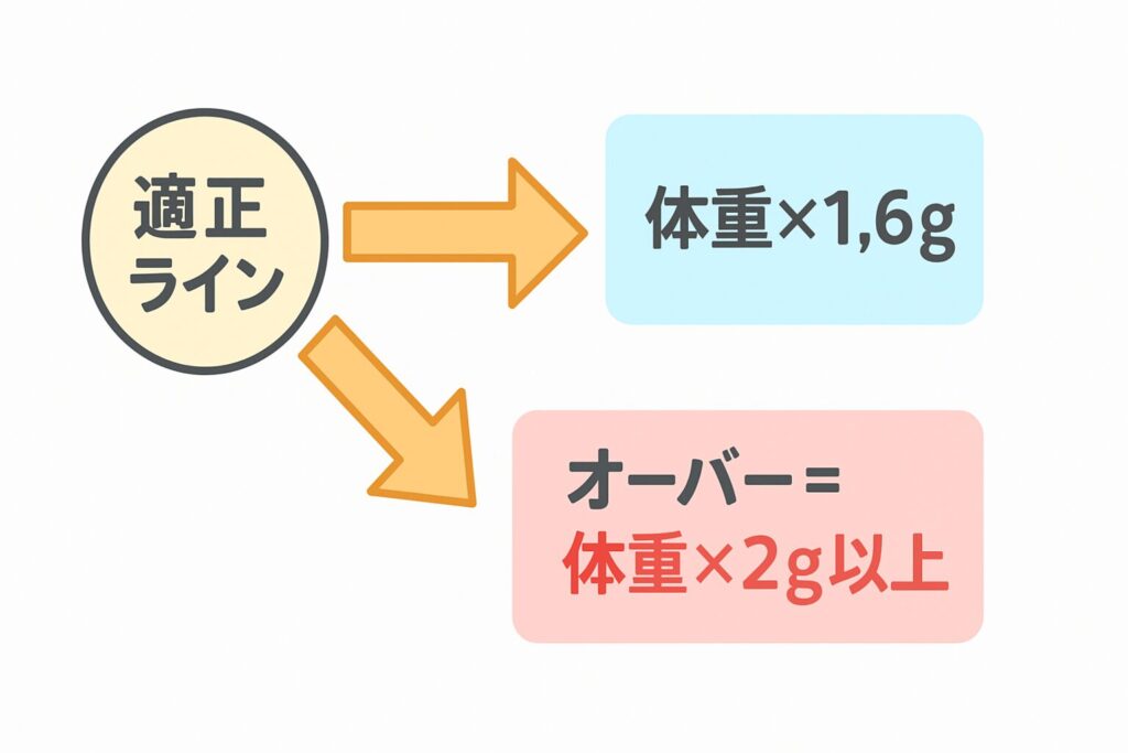 「適正ライン」から、体重×1.6g(適量)と体重×2g以上(オーバー)へ矢印で示したシンプルな図解