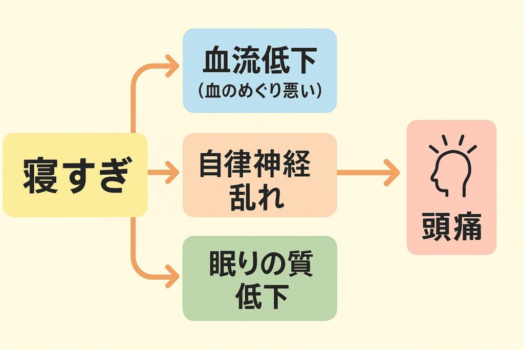 寝すぎが頭痛につながる3つのメカニズムを示したフローチャート(血流低下/自律神経の乱れ/眠りの質低下)