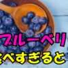 ブルーベリーを食べすぎるとどうなる？木のスプーンとボウルに入ったブルーベリーの写真