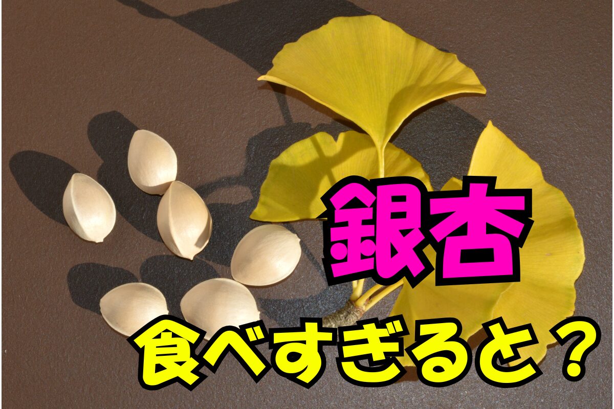 銀杏を食べすぎるとどうなる？秋の味覚ぎんなんの過剰摂取リスクを示すイメージ